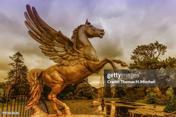 republic of ireland-enniskerry-powerscourt - enniskerry stock pictures, royalty-free photos & images