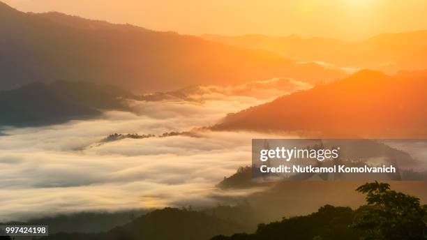 huay nam dung sea fog after sun rise - dung stock pictures, royalty-free photos & images