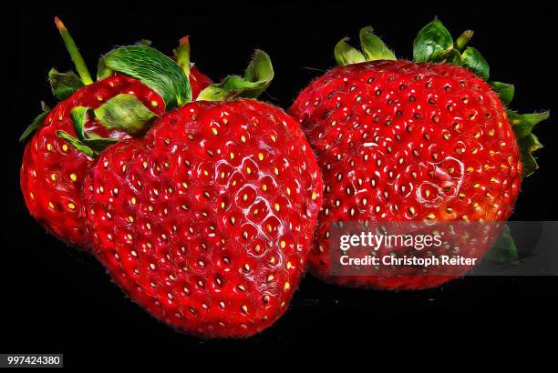 erdbeeren real - reiter stockfoto's en -beelden