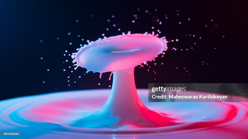 Splash!