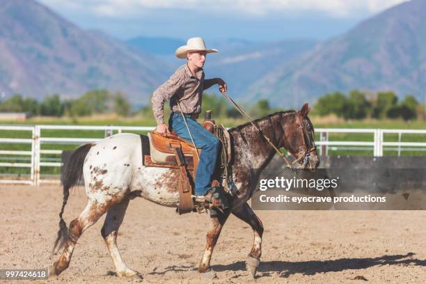 Quartered Rodeo 3,241 Quarter Horse Stock Photos, High-Res Pictures, and Images - Getty ...