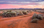 Dirt road leading across desert plains to ranges