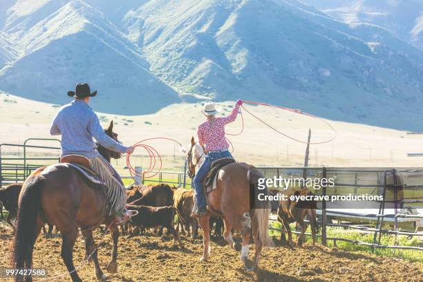 image de marque à sunrise utah cowboy cowgirl western en plein air et rodéo stampede roundup troupeaux à cheval - eyecrave photos et images de collection