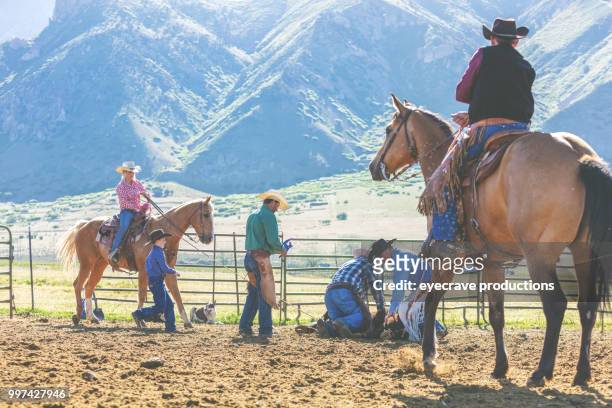 在日出猶他州牛仔女牛仔的品牌西部戶外和牛仔踩踏草牧馬放牧牲畜 - eyecrave 個照片及圖片檔