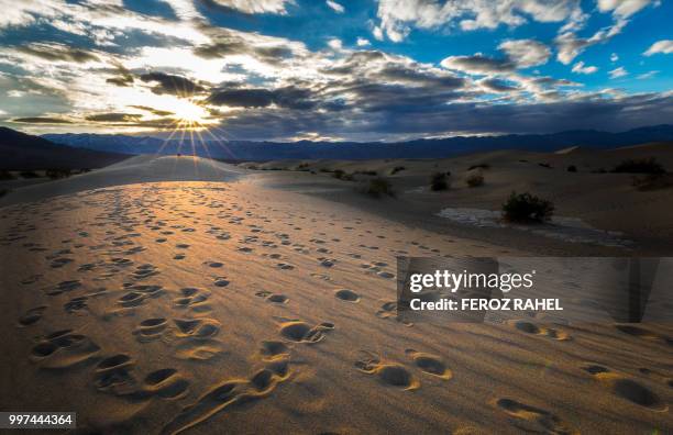 meditation in the desert! - feroz stock pictures, royalty-free photos & images