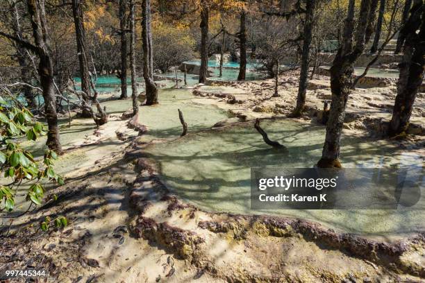 jin’an,china - east asia - east branch stock pictures, royalty-free photos & images