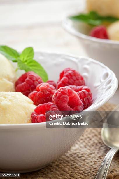 vanilla ice cream with raspberry and mint - mint ice cream stock pictures, royalty-free photos & images