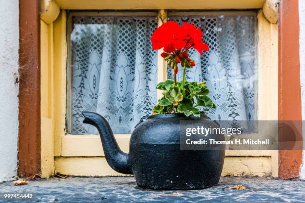 ireland-bunratty castle and folk park - bunratty castle stock pictures, royalty-free photos & images