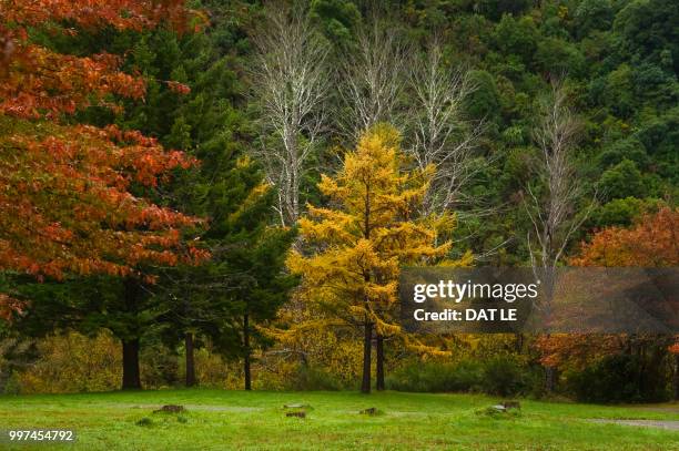 nature color - dat photos et images de collection