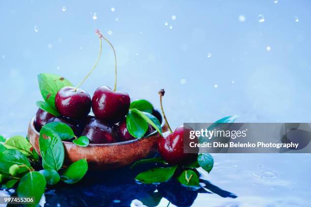 ripe cherries in a wooden bowl with green leaves on a light wet background with water drops. harvest concept with copy space. autumn rain still life. - khabarovsk krai stockfoto's en -beelden