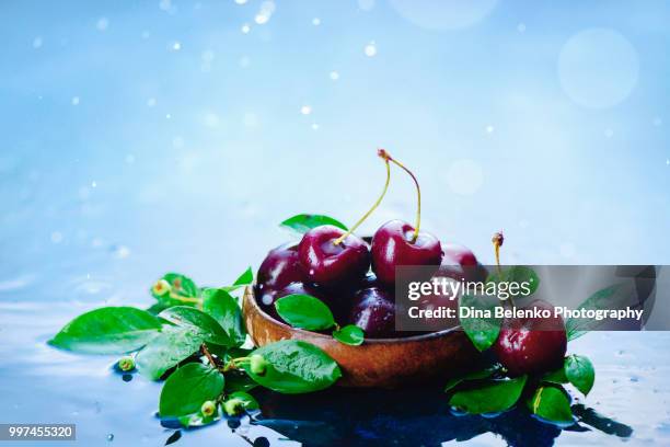 ripe cherries in a wooden bowl with green leaves on a light wet background with water drops. harvest concept with copy space. autumn rain still life. - khabarovsk krai stockfoto's en -beelden