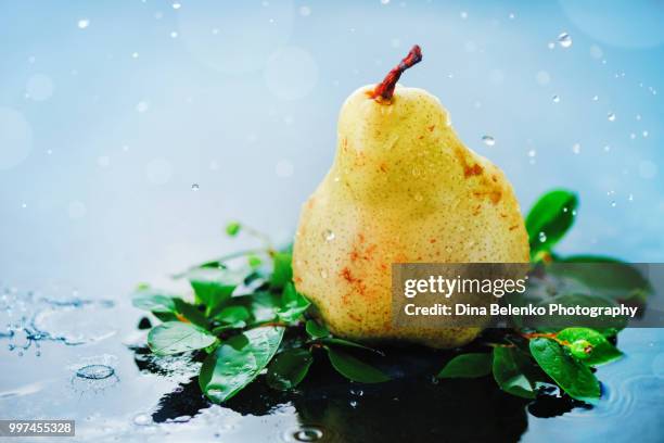 raw pear with green leaves on a light wet background with water drops. harvest concept with copy space. autumn rain still life. - khabarovsk krai stockfoto's en -beelden