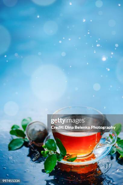 cup of tea with a strainer and green leaves on a light wet background with water drops. autumn hot drink concept with copy space. rainy still life with water drops and bokeh in high key - khabarovsk krai stockfoto's en -beelden
