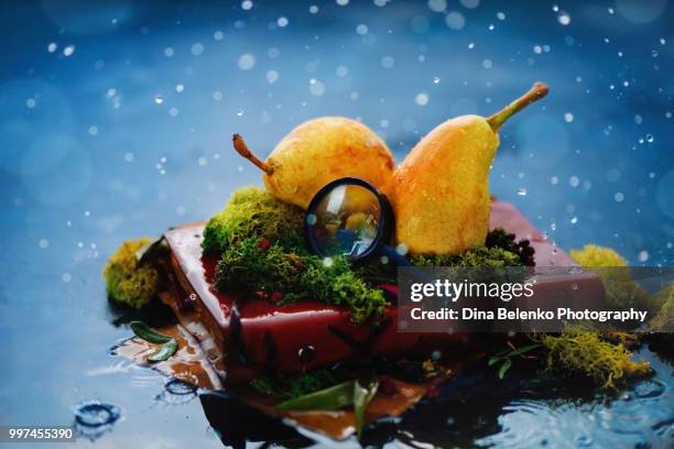 pears with green leaves, leather notebook, magnifying glass and moss on a light wet background with water drops. botanist studies concept with copy space. autumn rain still life with bokeh flares - khabarovsk - fotografias e filmes do acervo