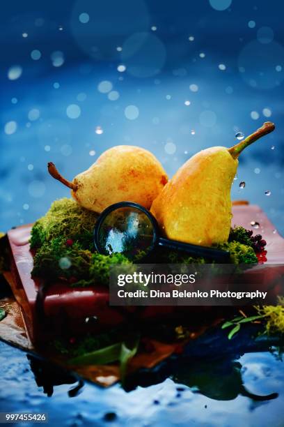 pears with green leaves, leather notebook, magnifying glass and moss on a light wet background with water drops. botanist studies concept with copy space. autumn rain still life with bokeh flares - khabarovsk krai stock pictures, royalty-free photos & images