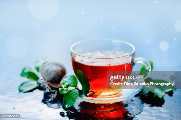 cup of tea with a strainer and green leaves on a light wet background with water drops. autumn hot drink concept with copy space. rainy still life with water drops and bokeh in high key - khabarovsk krai stockfoto's en -beelden