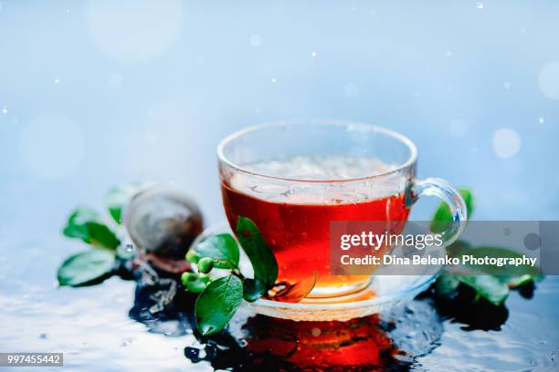 cup of tea with a strainer and green leaves on a light wet background with water drops. autumn hot drink concept with copy space. rainy still life with water drops and bokeh in high key - khabarovsk stock pictures, royalty-free photos & images