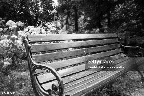 bench in forest - dinner to celebrate the launch of fabrizio viti cruise 18 collection back in love again stockfoto's en -beelden