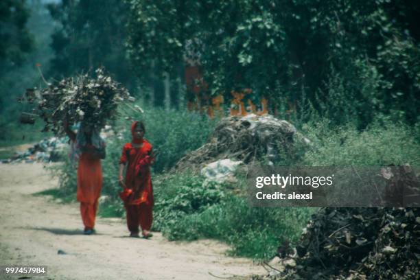 carga agrícola indio tradicional medio de transporte - a la mode fotografías e imágenes de stock