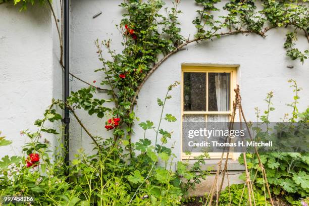 ireland-bunratty castle and folk park - bunratty castle stock pictures, royalty-free photos & images