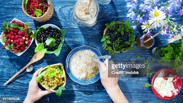 petit déjeuner sain d’été - fromage blanc photos et images de collection