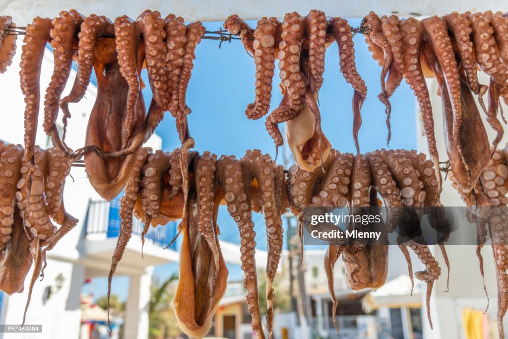 Fresh Greek Octopus Catch Greece Paros Island