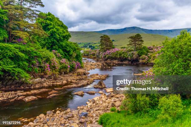 republic of ireland-county mayo-aasleagh falls - brook mitchell stock pictures, royalty-free photos & images