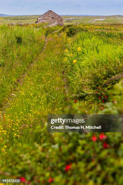 republic of ireland-county mayo-farm house - spreading mayo stock pictures, royalty-free photos & images