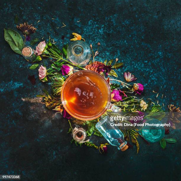 herbal tea - khabarovsk krai stockfoto's en -beelden