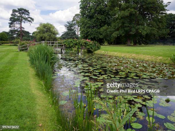 water lilies at hever castle - hever castle stock pictures, royalty-free photos & images