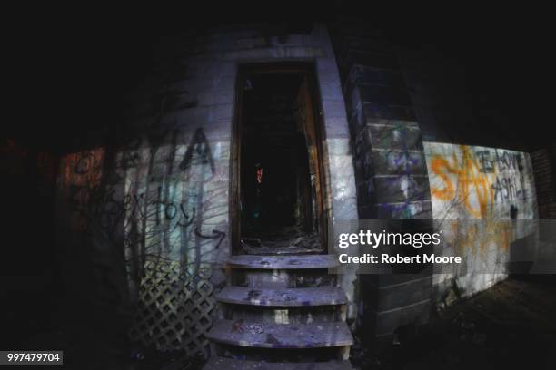 welcome home - welcome home stock pictures, royalty-free photos & images