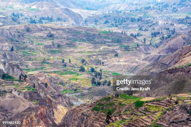 colca canyon terraces - colca stock pictures, royalty-free photos & images