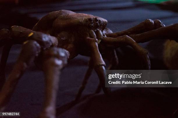 eight-legged nightmare - el coronil fotografías e imágenes de stock