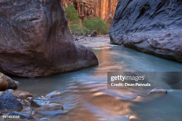 zion's virgin river narrows - virgin river stock pictures, royalty-free photos & images