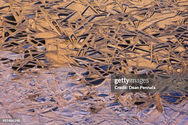 Shredded Paper Texture Photos and Premium High Res Pictures - Getty Images