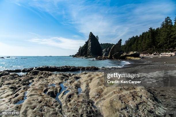 low tide at rialto beach - rialto beach stock pictures, royalty-free photos & images