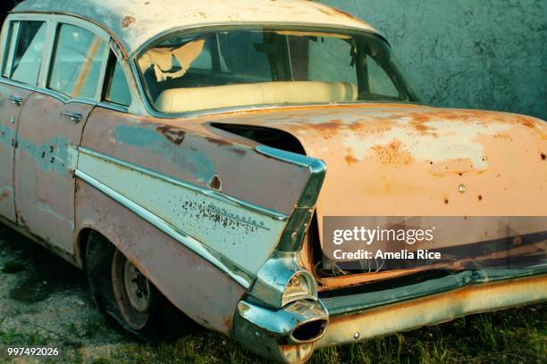 abandoned beauty - amelia stockfoto's en -beelden