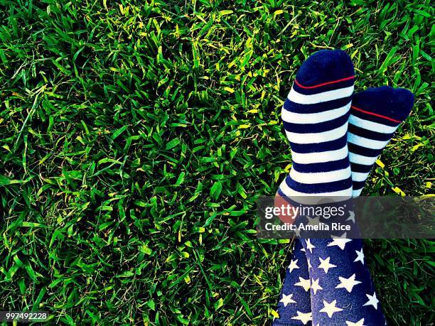 stars and stripes - amelia stockfoto's en -beelden