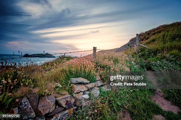 the lighthouse - stubbs stock pictures, royalty-free photos & images