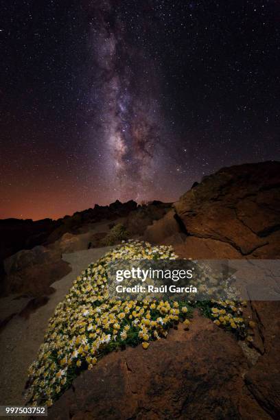 manto de estrellas y flores - estrellas stock-fotos und bilder