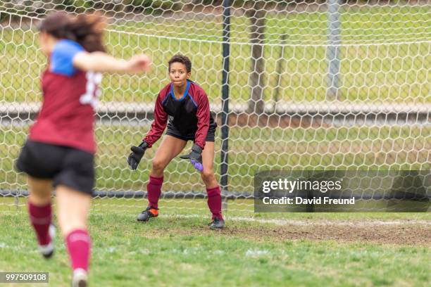 womens soccer goalie defending the goals - freund stock pictures, royalty-free photos & images