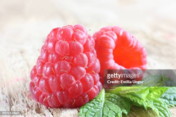 raspberry - emilia stock-fotos und bilder