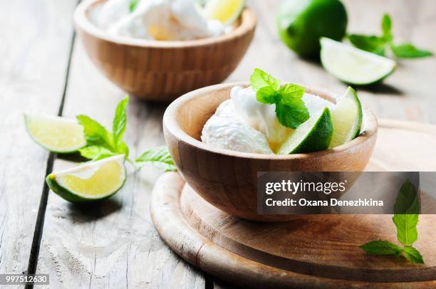 ice cream with fresh berry and mint - mint ice cream stock pictures, royalty-free photos & images