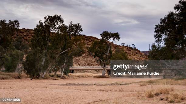 the dry river bed of the todd river, alice springs - marianne todd - fotografias e filmes do acervo