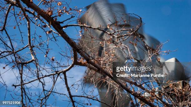 spinning windmill blades behind a leafless chinaberry tree - outback windmill bildbanksfoton och bilder
