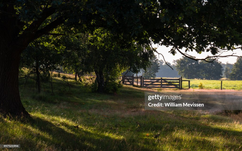 Gate Bergerheide