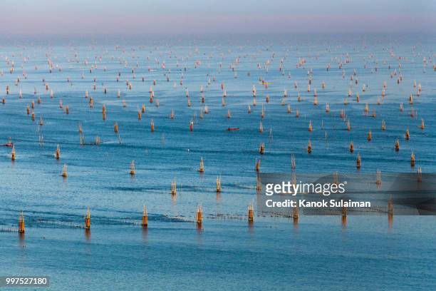 cages for fish farming - songkhla province stock pictures, royalty-free photos & images