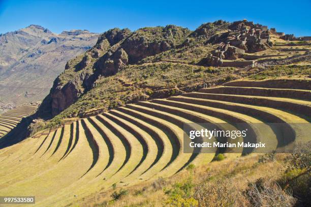 pisac terraces and ruins - pisac imagens e fotografias de stock