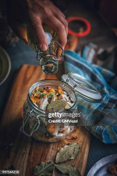 preserving organic mushrooms in jars - gmvozd stock pictures, royalty-free photos & images