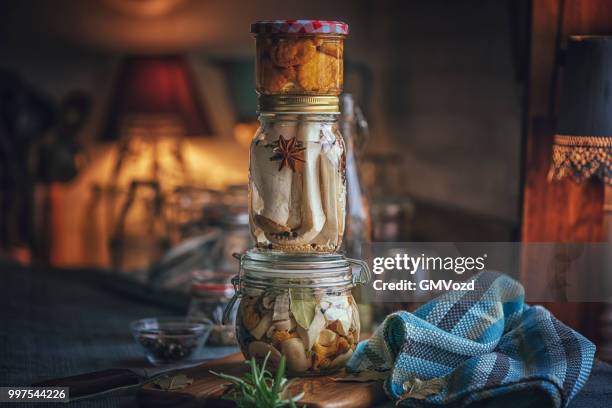 preserving organic mushrooms in jars - gmvozd stock pictures, royalty-free photos & images